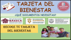 Tarjeta del Bienestar: Documentación Necesaria para Recoger tu Tarjeta