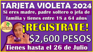 Tienes hasta el 26 de Julio para REGISTRARTE en la Tarjeta Violeta 2024, aquí toda la información