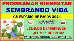 PROGRAMA BIENESTAR SEMBRANDO VIDA ¿HABRÁ PAGOS EN EL MES DE JULIO? REVISA AQUI EL CALENDARIO DE PAGOS OFICIAL