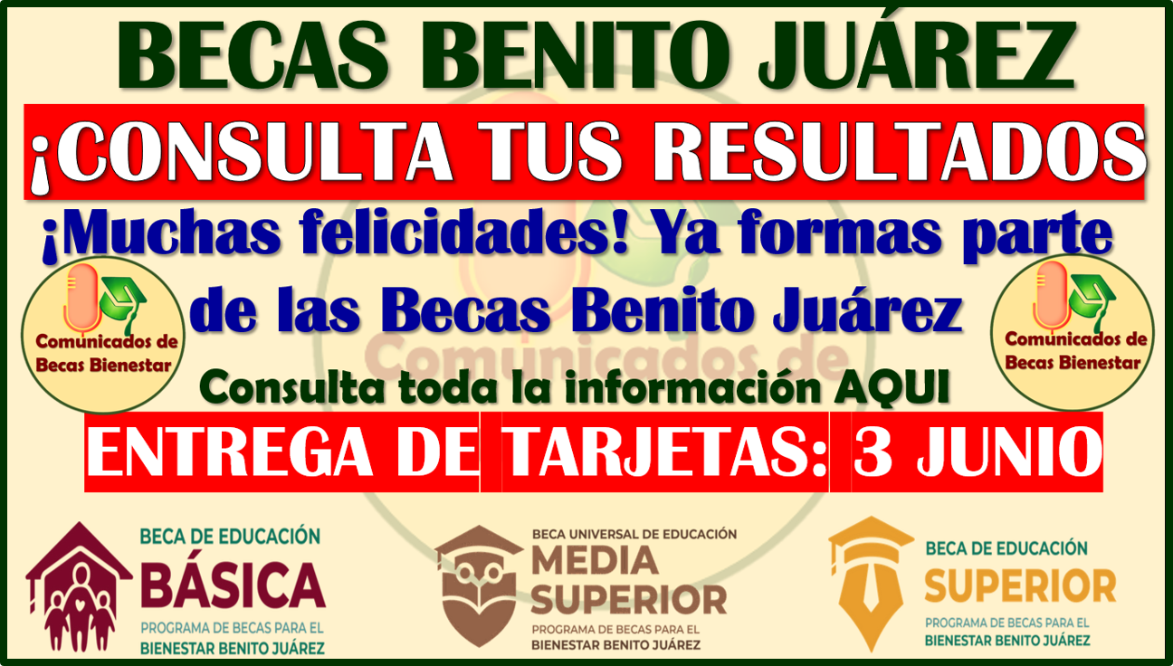 A través del Buscador de Estatus conocerás tus resultados solo necesitas tu CURP y FOLIO: Becas Benito Juárez