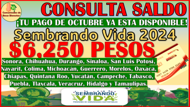 ¡YA PUEDES CONSULTAR SALDO! tu pago mensual del Programa Sembrando Vida ya esta disponible