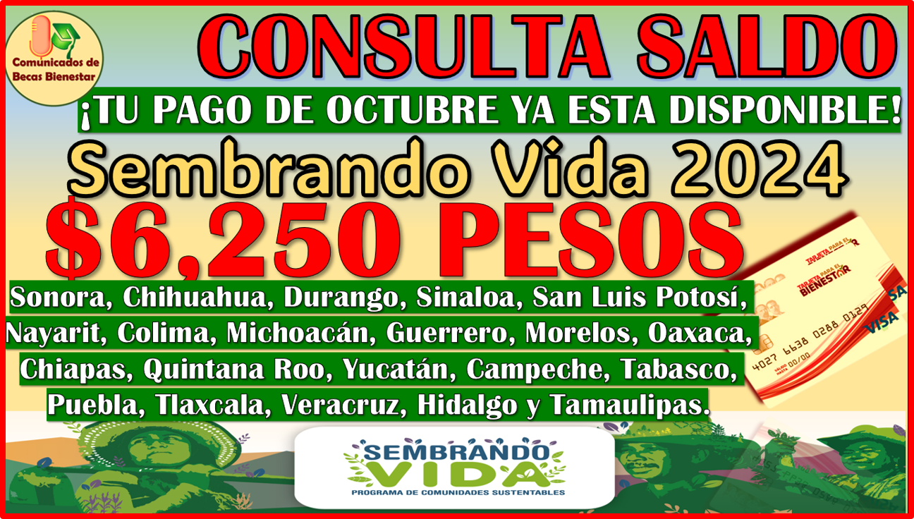 ¡YA PUEDES CONSULTAR SALDO! tu pago mensual del Programa Sembrando Vida ya esta disponible