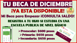 Mi Beca para Empezar: Consulta tu saldo ya esta tu pago de Diciembre, aquí toda la información