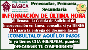 Padres de Familia consulta si ya tienes CITA para la entrega de documentación y formar parte de las Becas Benito Juárez Nivel Básico