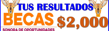 Ya puedes consultar tus resultados de la Beca Sonora de Oportunidades: Primaria y Secundaria