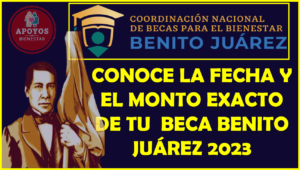 Ya puedes consultar la fecha, monto y el medio de pago de tu Beca Benito Juárez, sigue estos pasos