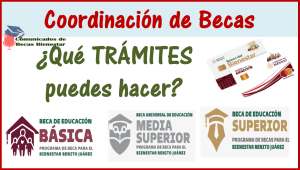 Estos son los trámites que puedes realizar en las oficinas de la Coordinación Nacional de Becas