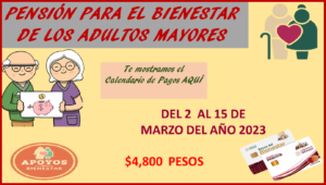 ¿Sabes cuándo te toca cobrar tu apoyo?, de esta manera queda el Calendario de Pagos para el mes de marzo: Pensión Bienestar 2023.