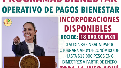 A partir de enero, las mujeres de la tercera edad podrán recibir hasta $18,000 pesos en seis bimestres. ¡Te explicamos cómo registrarte y aprovechar este nuevo apoyo económico!