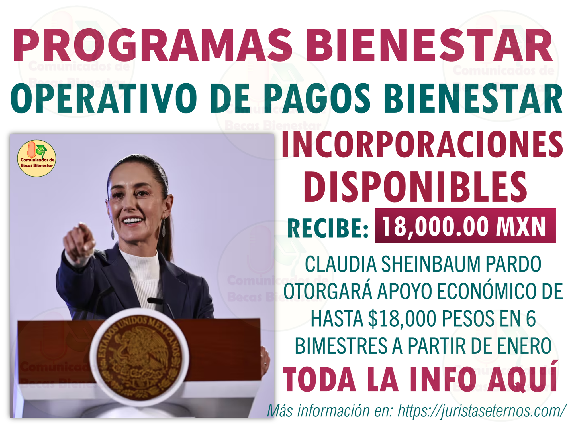 A partir de enero, las mujeres de la tercera edad podrán recibir hasta $18,000 pesos en seis bimestres. ¡Te explicamos cómo registrarte y aprovechar este nuevo apoyo económico!