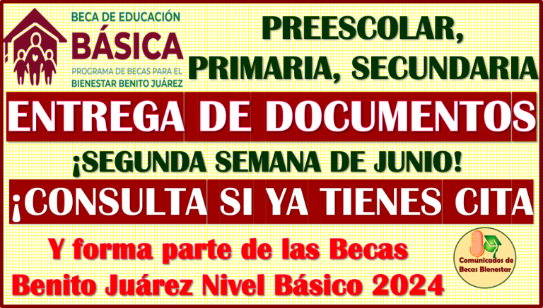 Consulta Tu Fecha De Cita Entrega Tus Documentos Y Forma Parte De